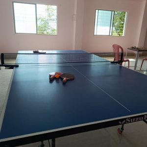 Vrundavan Lakeview Resorts Indoor Games